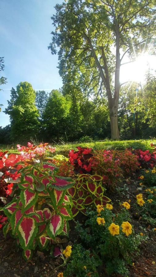 Moderne Ferienwohnungen Am Kurpark - Zentral, Ruhig & Nah Am Edersee باد ويلدنغن المظهر الخارجي الصورة